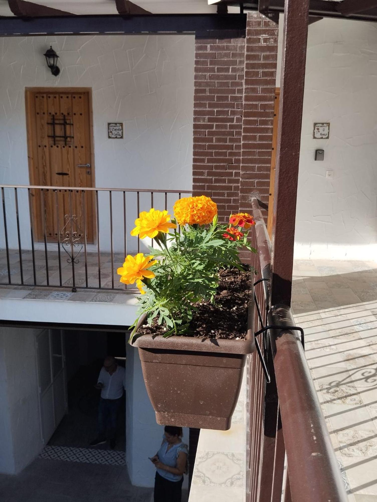 Suite San Mateos 15 Χέρεζ Εξωτερικό φωτογραφία